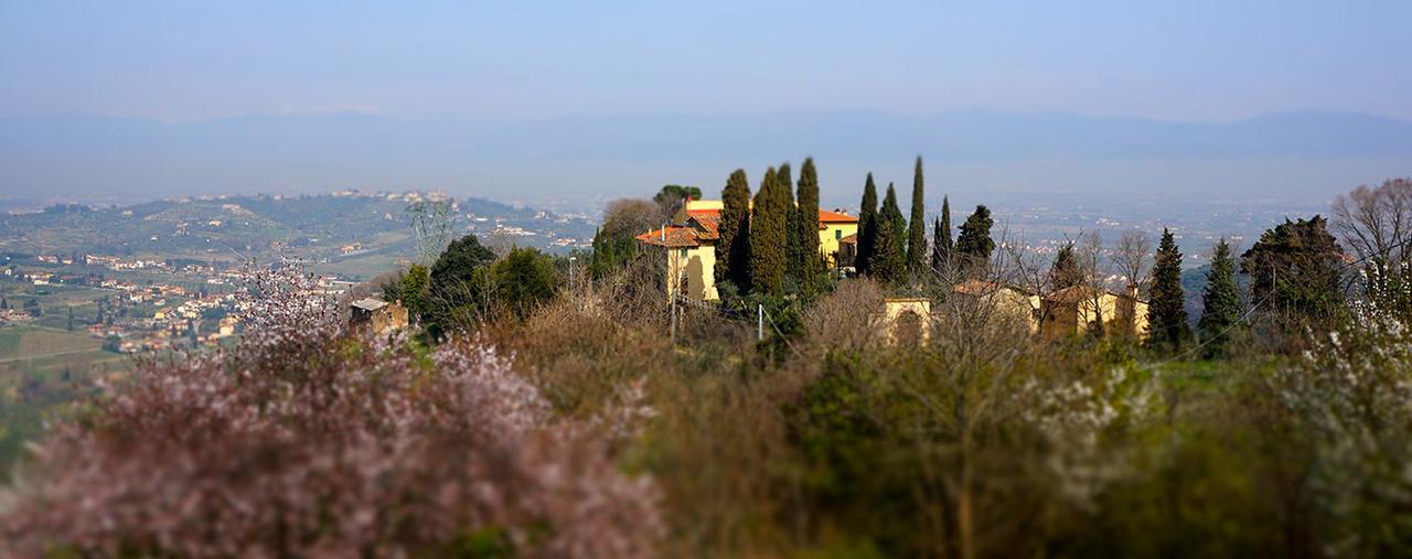 Frigionaia Carmignano